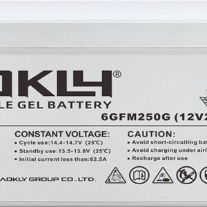 BATERÍA GEL 12V 40AH AOKLY